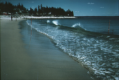 [Queensland Beach]